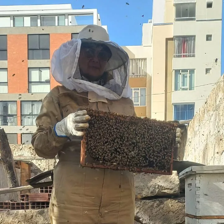 Apicultor mostrando un marco de cría