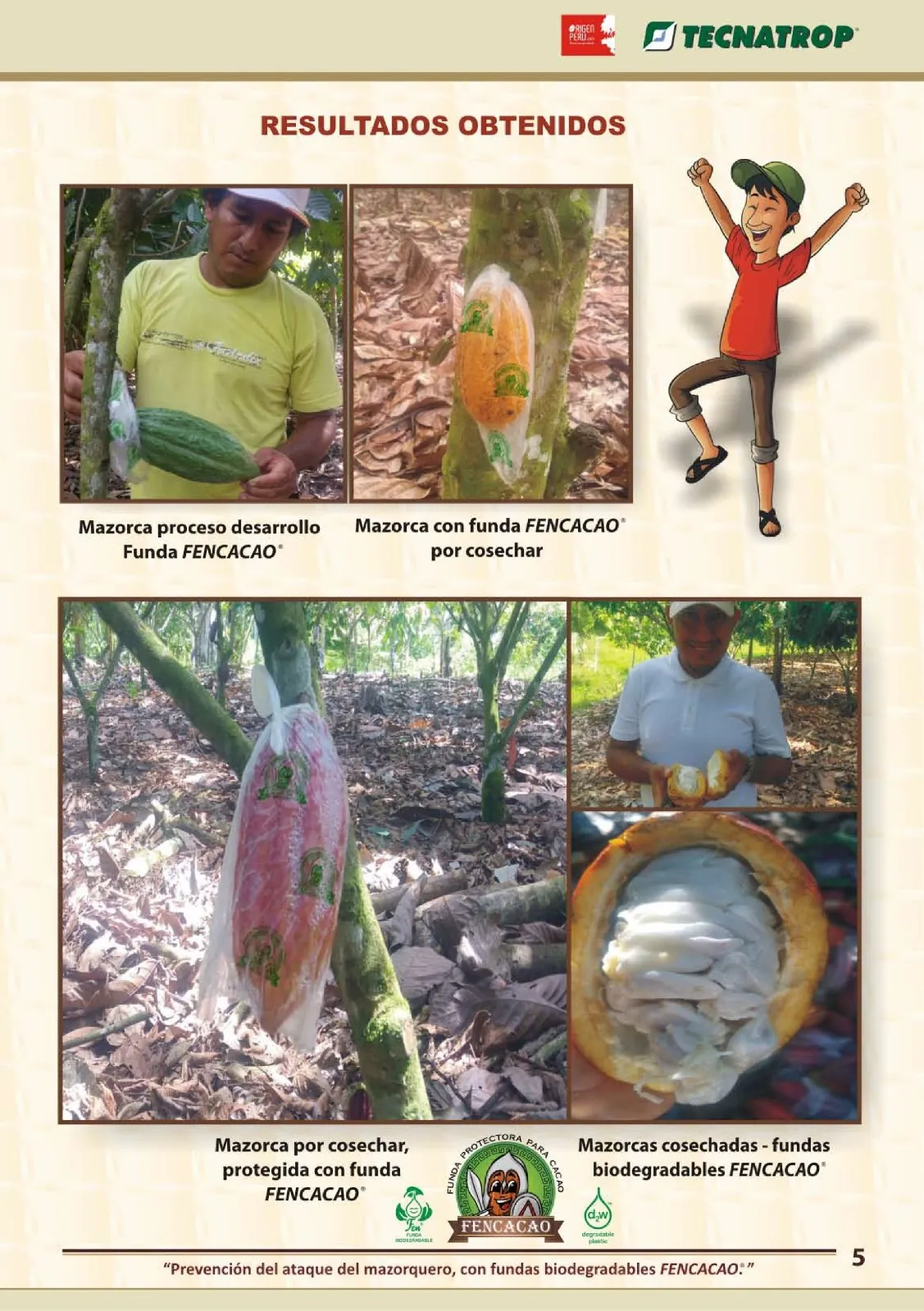 Resultados obtenidos: mazorcas protegidas con funda FENCACAO frente a mazorcas sin protección
