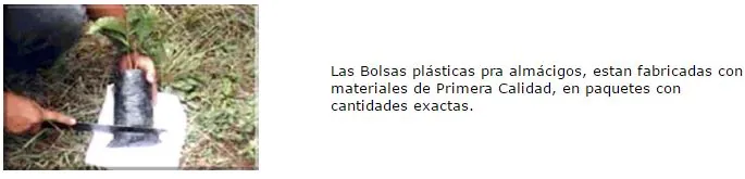 Bolsas para almácigo