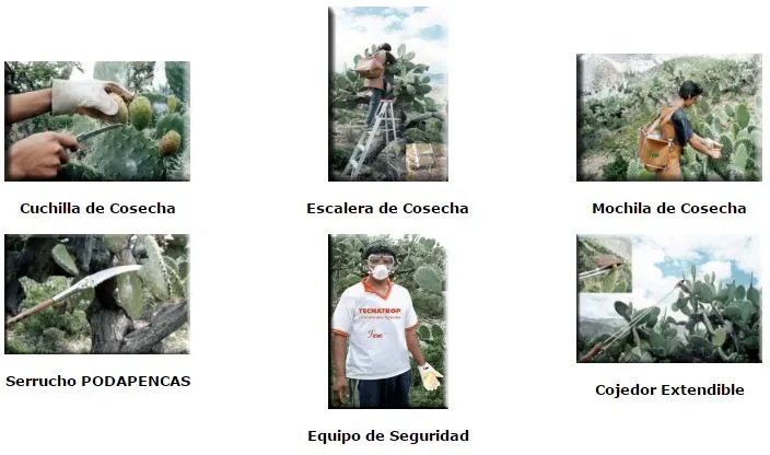 Herramientas de cosecha