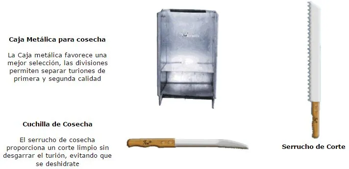 Herramientas para espárrago